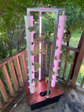 Agrowponics Home Growing System - Dual Agrowtowers