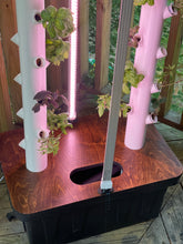 Agrowponics Home Growing System - Dual Agrowtowers