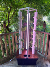 Agrowponics Home Growing System - Dual Agrowtowers